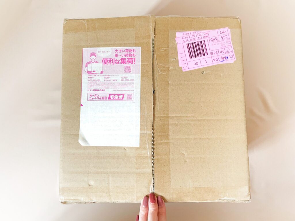 カレントボディ 頭皮